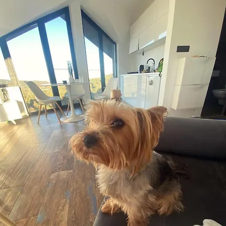 Diamond 4 * Divcibare